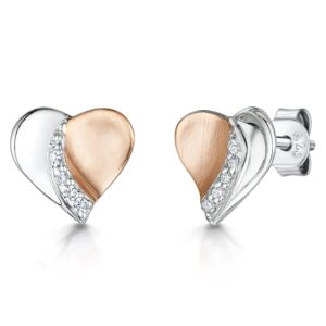 earring - hbe2042 WRG ps