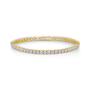 bracelet - hbb1001-Yg