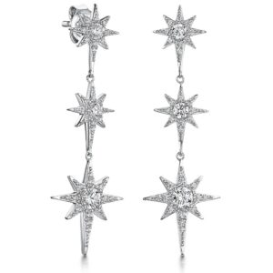 earrings - hbe2007
