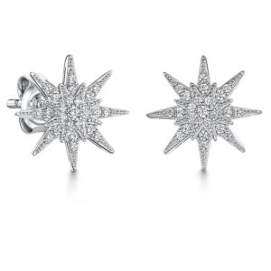 earrings - hbe2008
