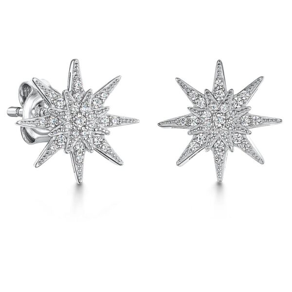 earrings - hbe2008