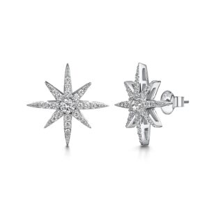earrings - hbe2010