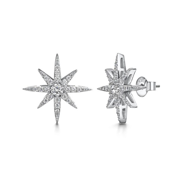 earrings - hbe2010