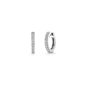 earrings- hbe2026
