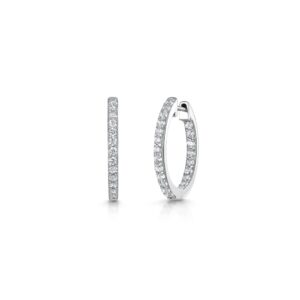 earrings- hbe2027