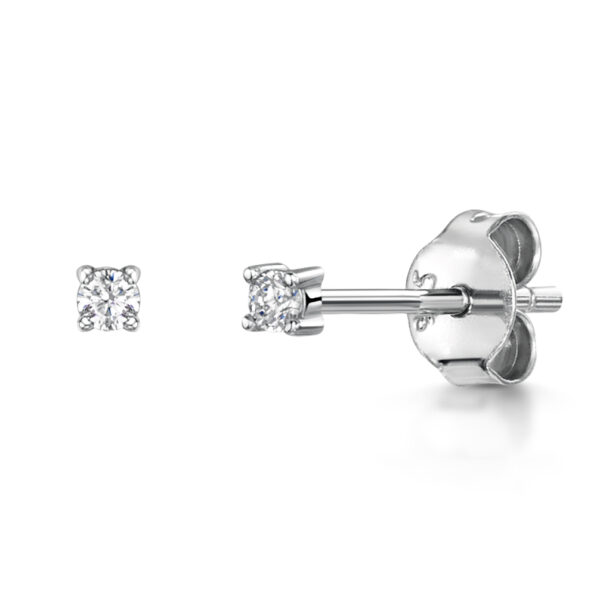Earrings - hbe2rd
