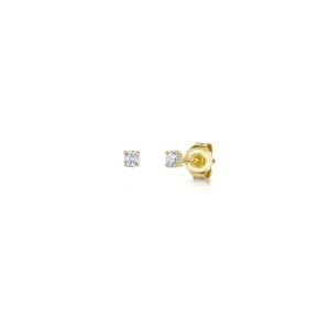 Earrings - hbe3rd-Yg