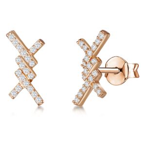 earrings - jte7877
