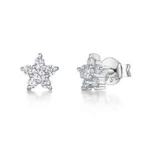 Earrings - KPE1329