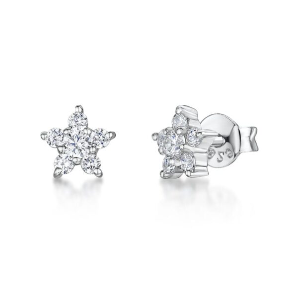 Earrings - KPE1329