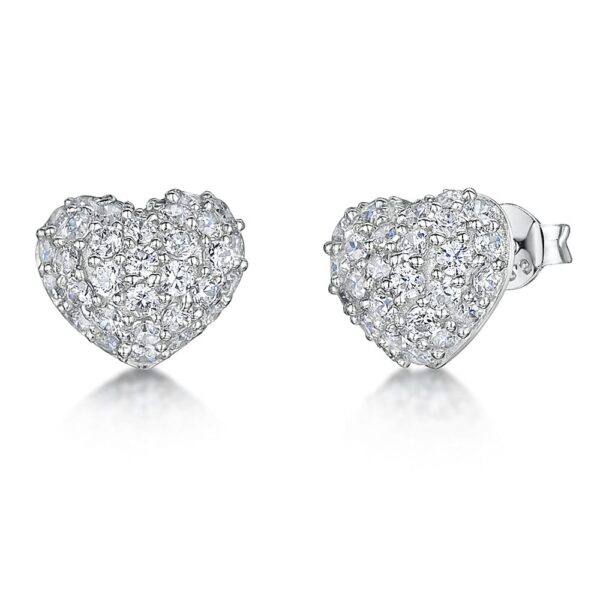Earrings - KPE1390