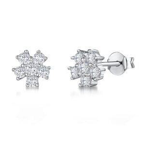 Earrings - KPE1392