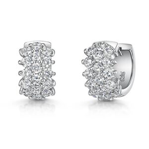 Earrings - KPE1656