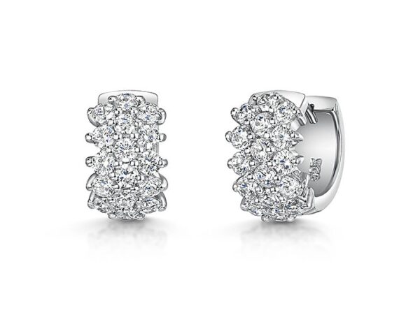 Earrings - KPE1656