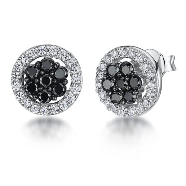 earrings - kpe2116bz