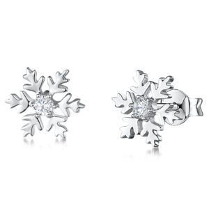 earrings - kpe2383