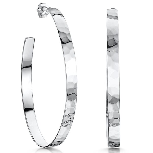earrings - pne1685