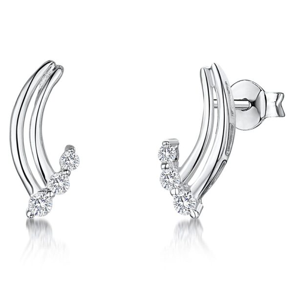 Earrings - pse0852
