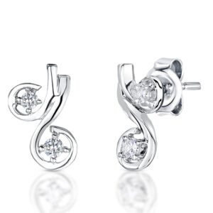 Earrings - PSE748