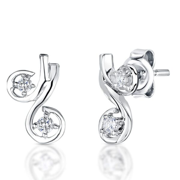 Earrings - PSE748