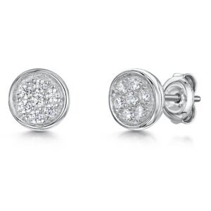 Earrings - PSE896