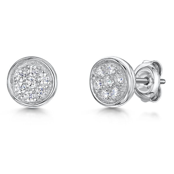 Earrings - PSE896
