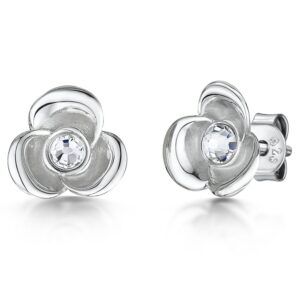 earrings - wpe1007