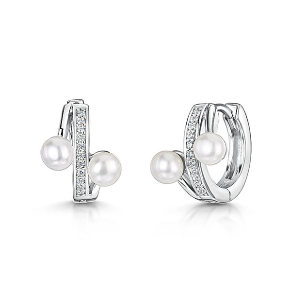 earring - pse2641 wpcz