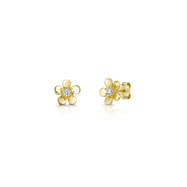 Earrings - KPE1767-yg
